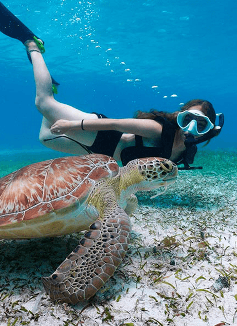 Snorkeling and diving in Cabo San Lucas
