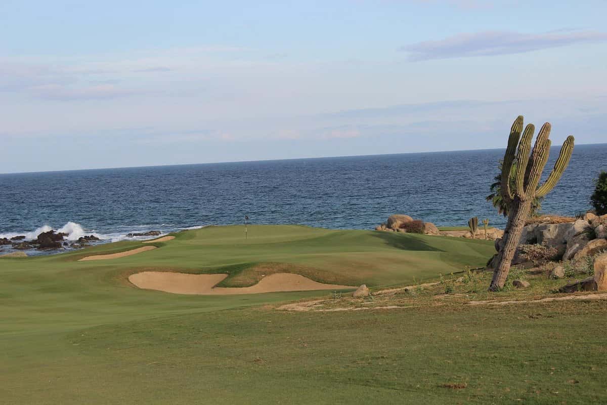 Oceanfront golf green with bunkers and a cardón cactus in Los Cabos