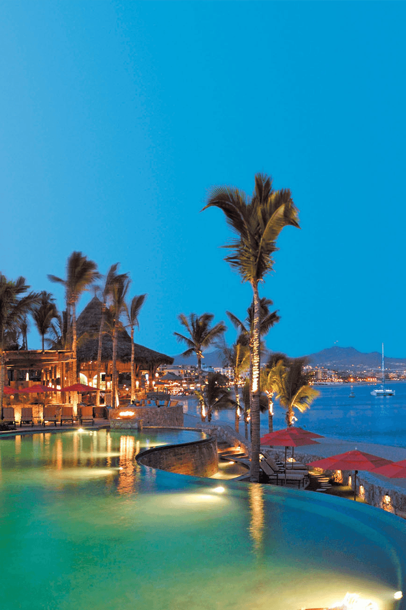 Palm trees and lights at dusk on Cabo San Lucas bay