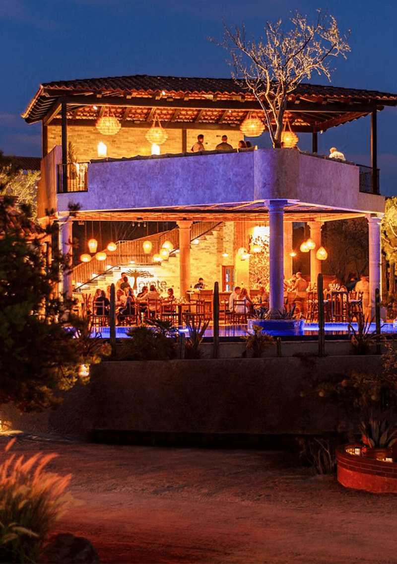 Torote Restaurant, Cabo San Lucas